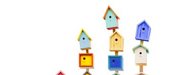 Ein Nistplatz für Familien